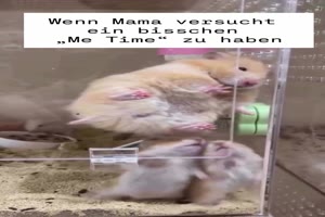 weiter