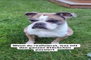 Sag-blo-die-verbrennen-meine-Stckchen.mp4 von Caroline