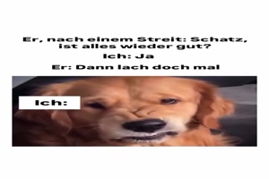 Komisches-Lachen.mp4 von Samu51