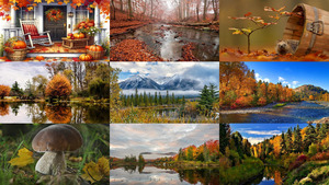 Beautiful Autumn 41
