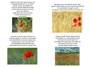 klicke hier, um die Datei herunterzuladen Nur Klatschmohn