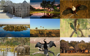 Okavango Delta 01