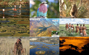 Okavango Delta 02