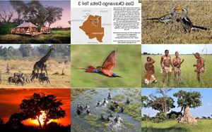 Okavango Delta 03