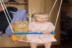 Schaukeln mit der Katze