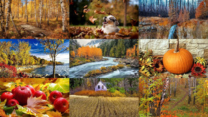 Beautiful Autumn 42