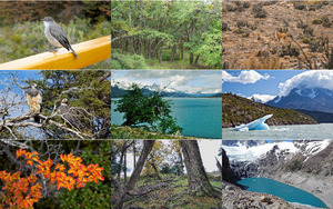 Nationalpark Los Glaciares