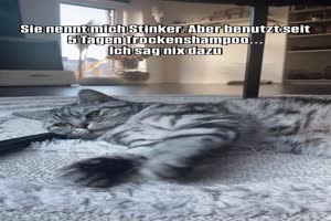 weiter