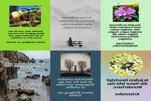 weiter