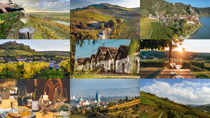 klicke hier, um die Datei herunterzuladen Herbst -Oesterreichs Weinbaugebiete besuchen