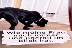 weiter