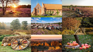 Herbst-Lneburger-Heide1.ppsx von lori