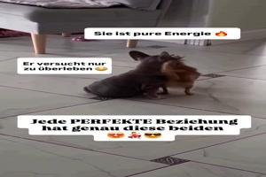 Unterschiedliches-Paar.mp4 auf www.funpot.net