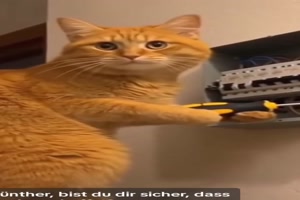 Günter ist sich sicher