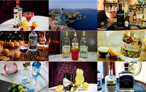 klicke hier, um die Datei herunterzuladen Gin