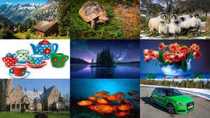 klicke hier, um die Datei herunterzuladen Photo Album 47