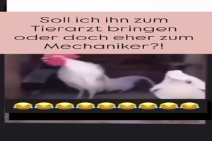 Am-besten-gleich-zum-Mechaniker.mp4 von Cecilia