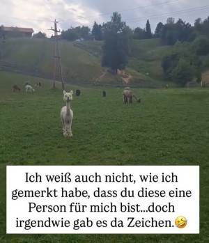 Es-gab-ein-Zeichen.mp4 von Cecilia