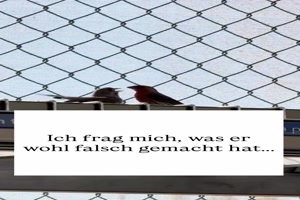 Was hat er wohl getan?