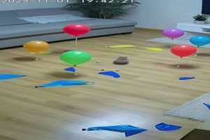 Igel-und-Luftballons.mp4 von Caroline