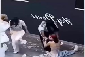 Der alternative Besen