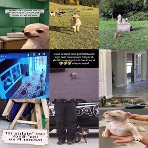 . auf www.funpot.net