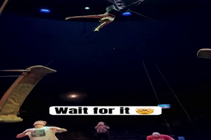 Der absolute Wahnsinn