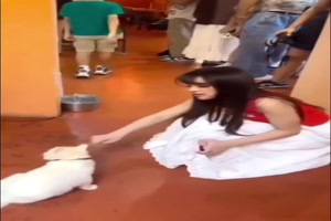 Er will auch eine Katze sein