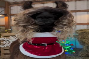 Weihnachtliches Ksschen