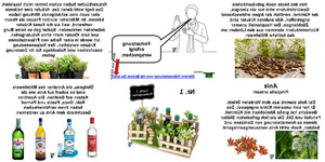 Luckys Krutergarten Nr.1