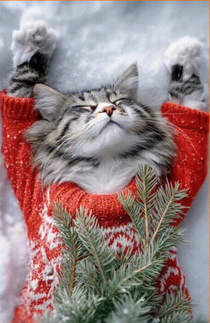 Weihnachtskatze.gif von Bastian