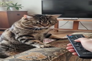 Mach sofort den Fernseher wieder an