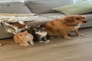 Wer ist Schuld....????