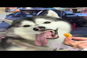 Das wird wohl nichts