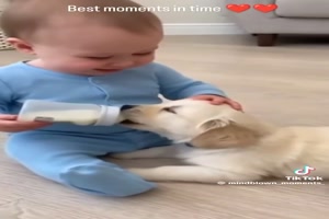 Babies-und-Tiere.mp4 von Jessica46