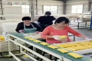 Akkord-Arbeit.mp4 von Zauberfee