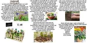 Luckys Krutergarten Nr. 3