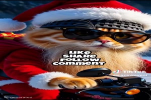 ZZ-Tpo-Cat-Santa.mp4 von Artist