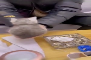 Niedliches-Ktzchen.mp4 von Jannik-22