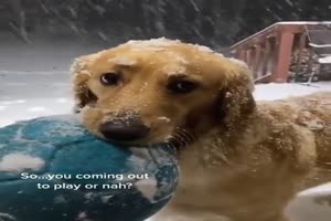 Er-will-Ball-spielen.mp4 von Mattis