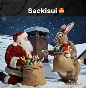 Sack-vertauscht.mp4 von Tarik1967