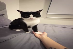 Lass-das.mp4 von Leonora64