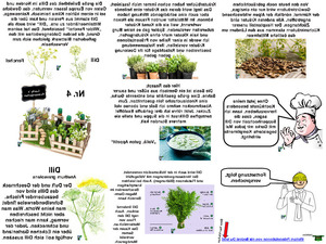 Lucky-s-Krutergarten-Nr.-4.pps von lucky