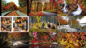 Beautiful-Autumn-49.ppsx von Dorota