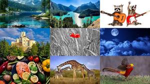 Photo-Album-49.ppsx von Dorota