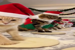 Schneller-Leute.mp4 von Tarik1967