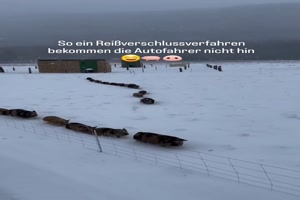 Hier-funktioniert-das-Rei�verschlusssystem.mp4 von Bastian