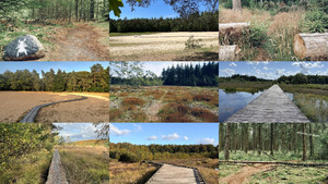 Sprokkelspoor Grolloo