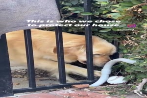 Es-geht-auch-umst�ndlich.mp4 von Schneeflittchen