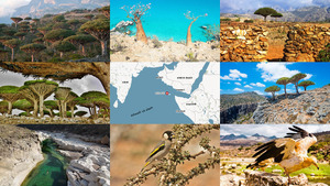 Socotra-Island.ppsx von Snoekie